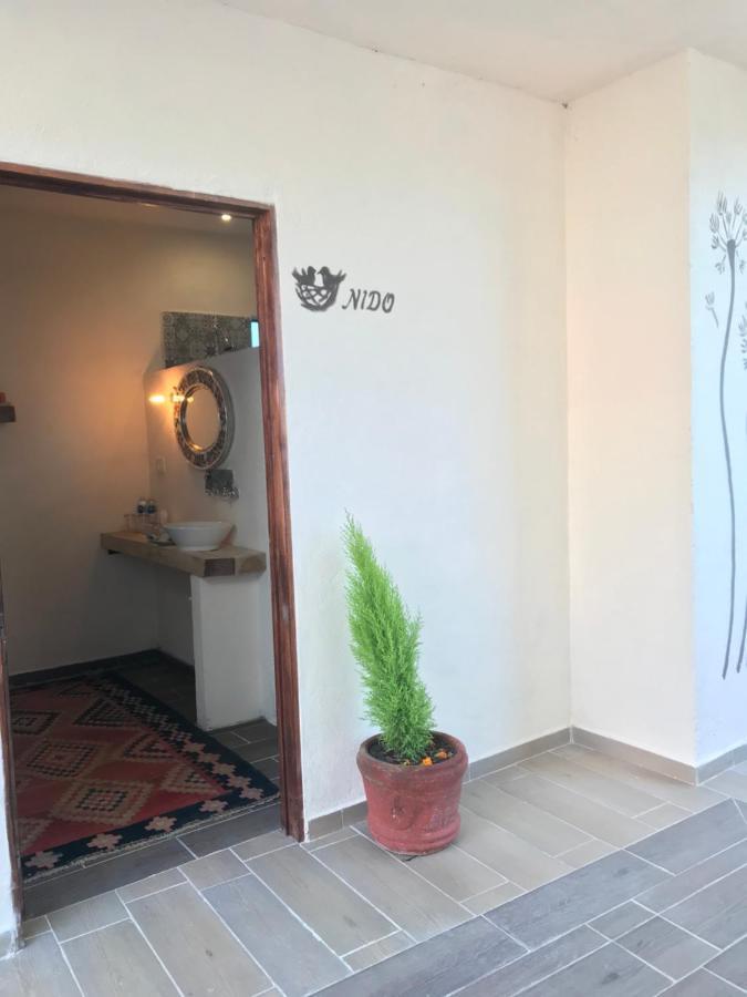 Casa Los Naranjos ซานมิเกล เด อาเญนเด ภายนอก รูปภาพ